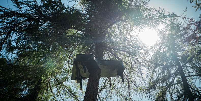 Natural Wellness im Trentino #5