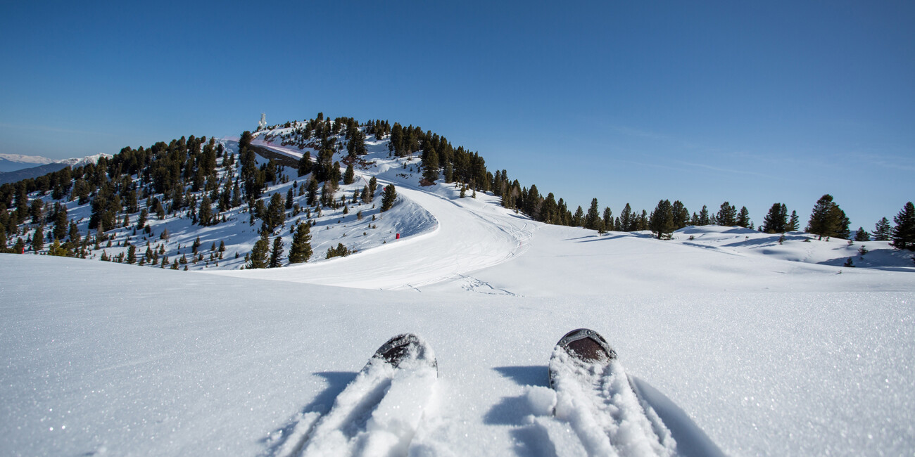 Wintersaison im Trentino bei idealen Schneeverhältnissen #3