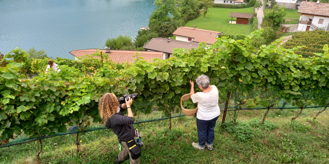 LA VALLE DI LEDRO A GEO #1