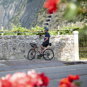 EXPLORE TRENTINO WINERIES AND VINEYARDS ON FOOT OR BY BIKE