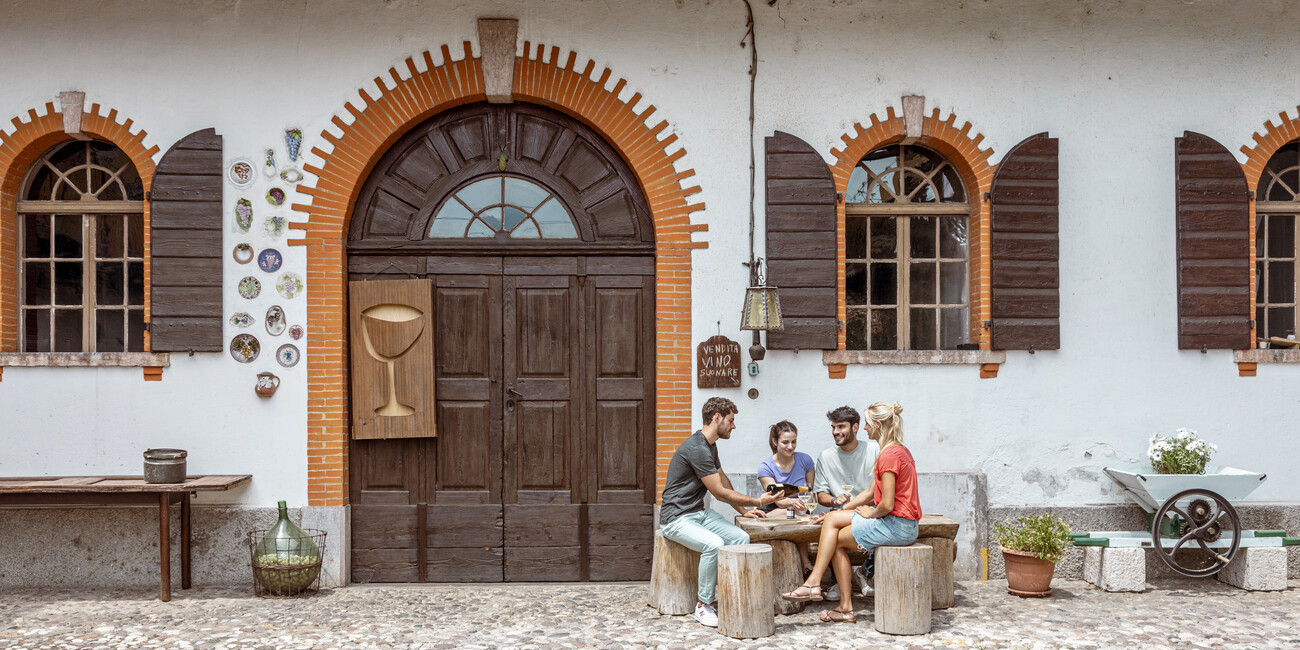 EXPLORE TRENTINO WINERIES AND VINEYARDS ON FOOT OR BY BIKE #4