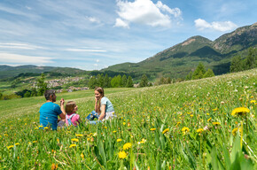 Das Frühjahr im Trentino ist ein Fest der Farben und der Romantik