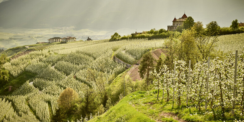 Das Frühjahr im Trentino ist ein Fest der Farben und der Romantik #3