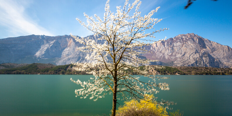 THE STORY OF THE LAND CONTINUES AT THE TABLE #1