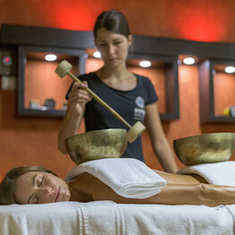 TERME E WELLNESS ALPINO