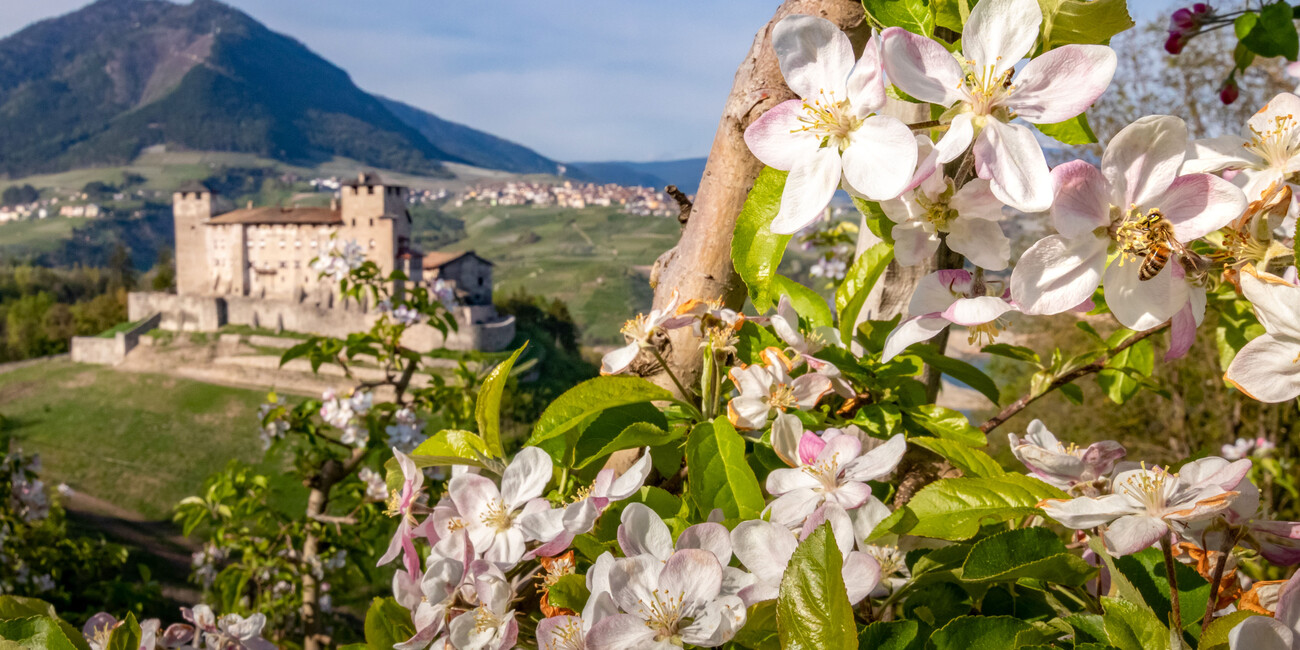 OCCASIONI PER VIVERE LA BELLA STAGIONE IN TRENTINO  #1