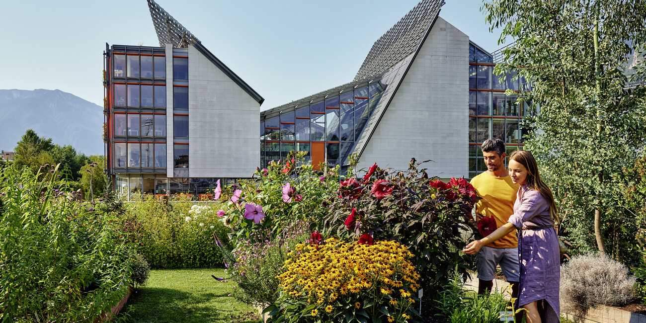 IL TEMPO DEL RISVEGLIO  #3