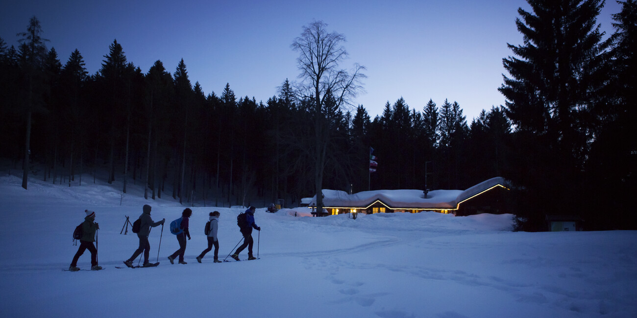 Questa neve è straordinaria #4