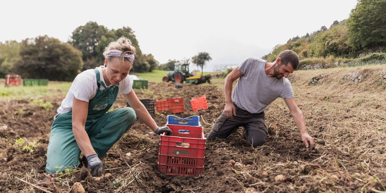 Borghi da gustare: l’autunno in Trentino si serve in tavola #1