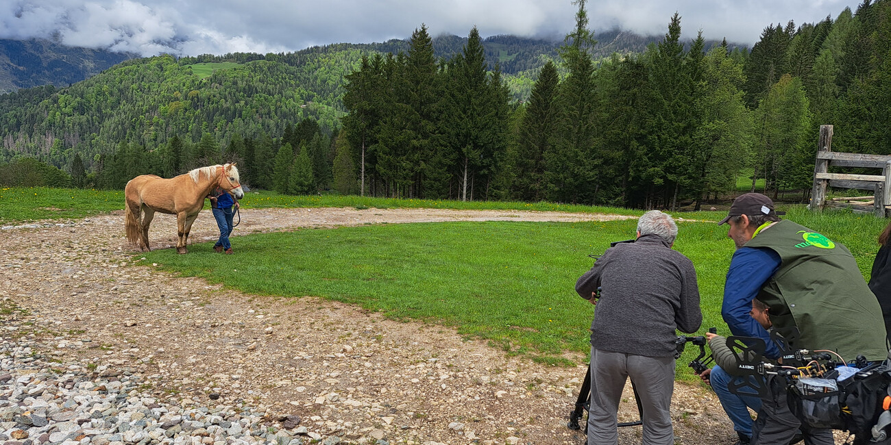 Lo spirito della montagna: un viaggio nel cuore di Primiero San Martino di Castrozza #4