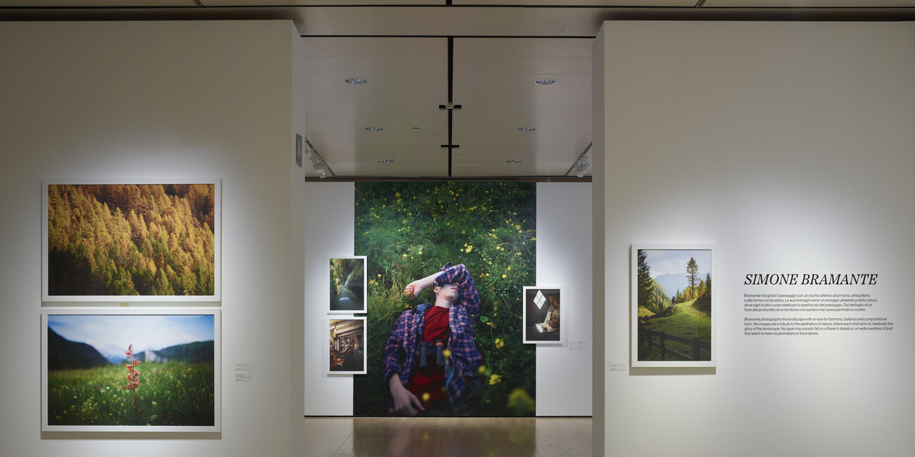 Al Mart Trentino Unexpected #3