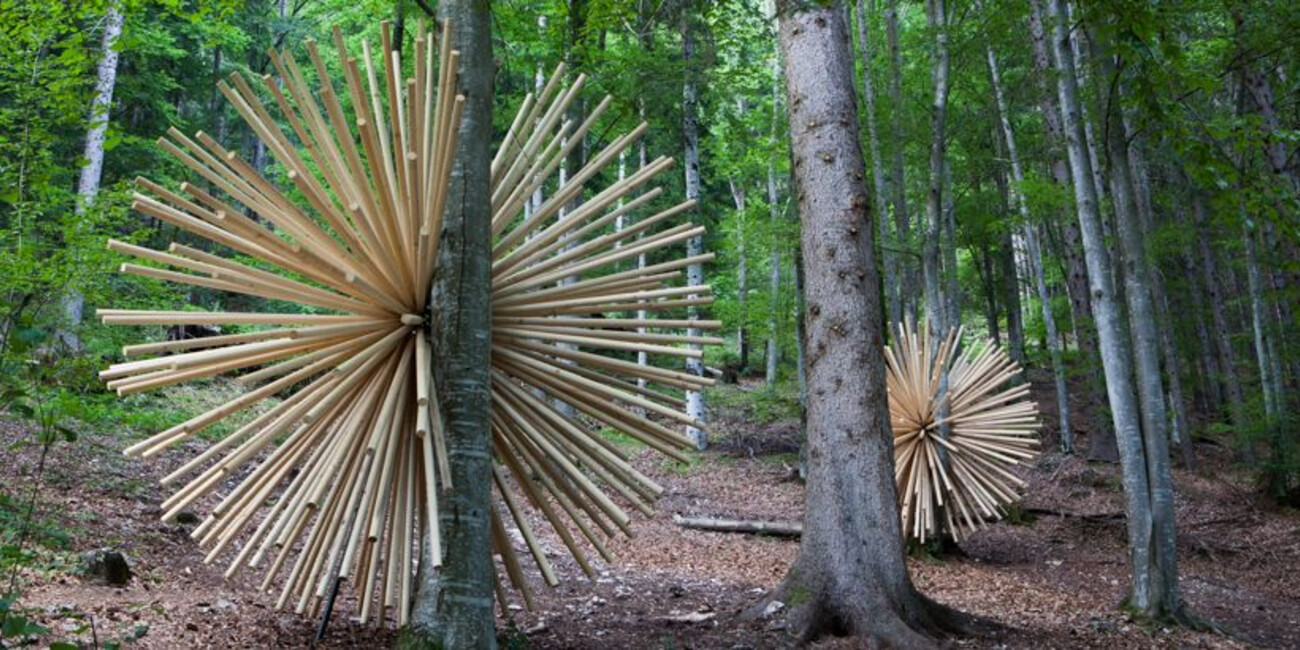 Il papà di Arte Sella #2