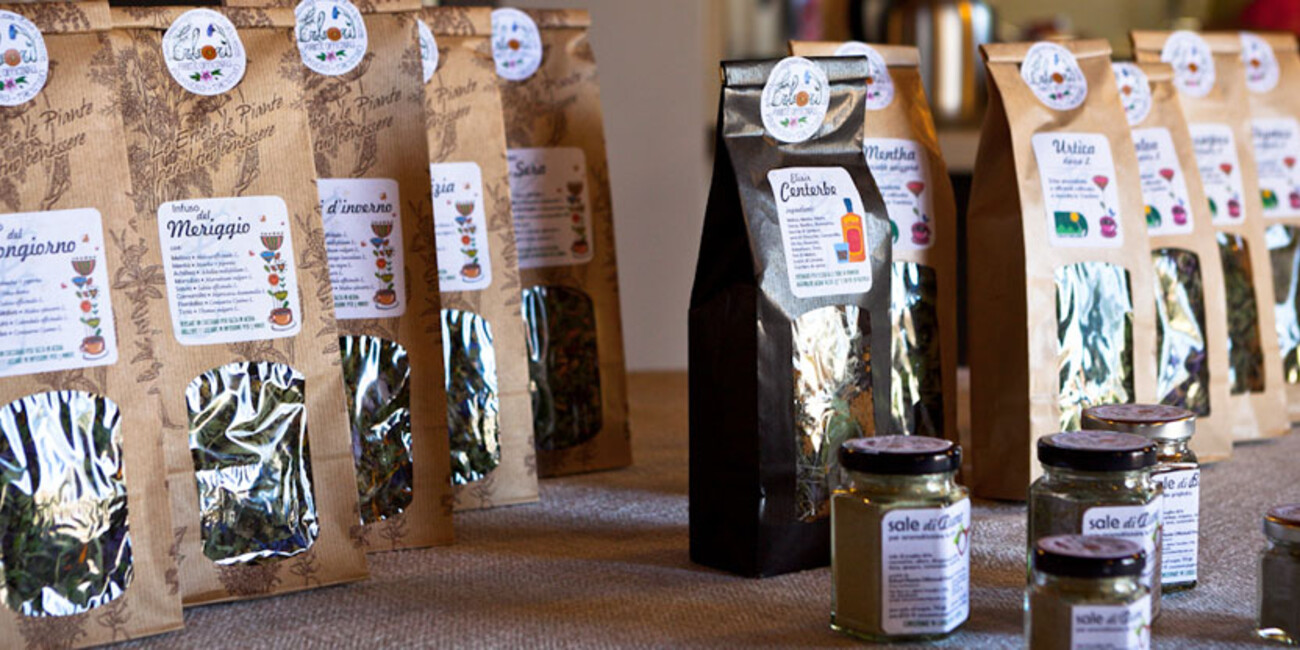 Le erbe officinali della Val Canali #2