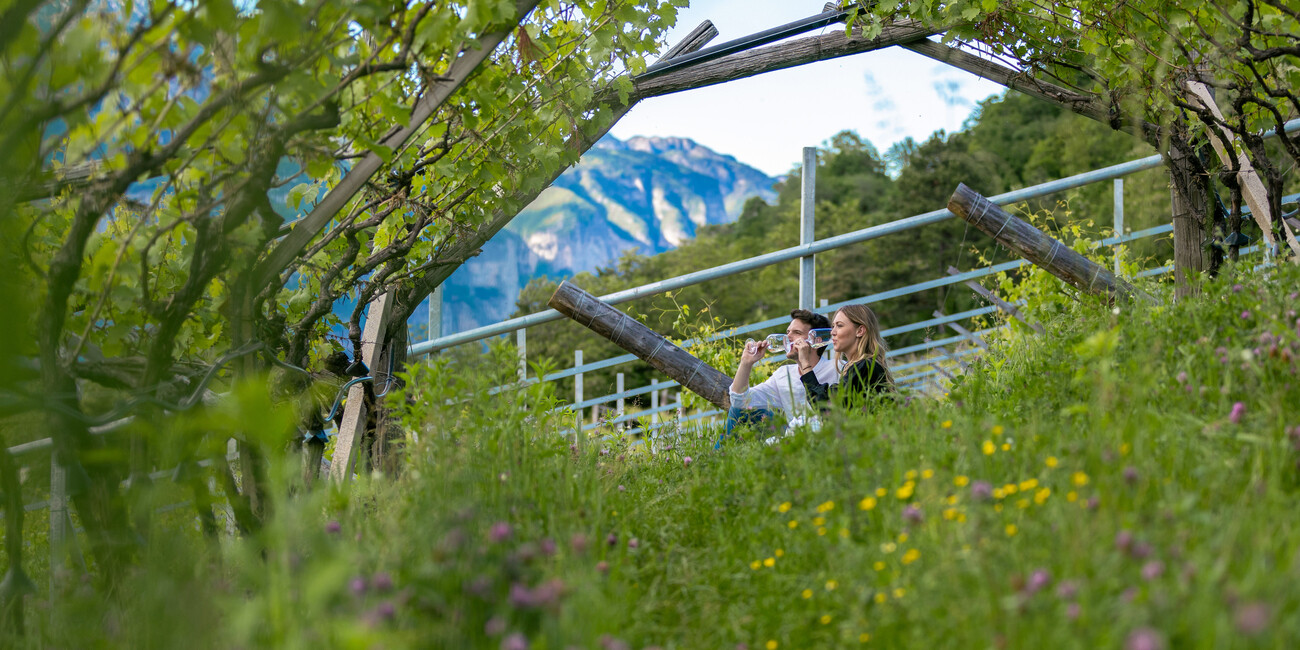 Ervaar de lente! Spring op de fiets en maak een fietstocht door de wijngaarden van Trentino. #3