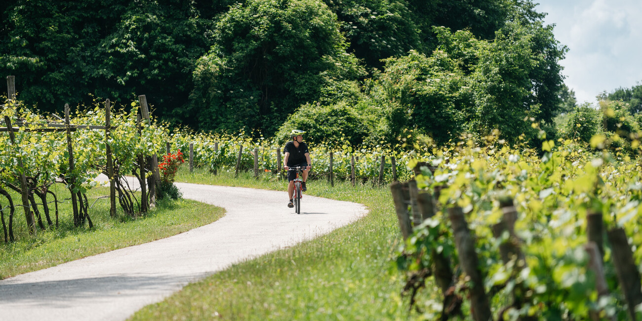 Ervaar de lente! Spring op de fiets en maak een fietstocht door de wijngaarden van Trentino. #5