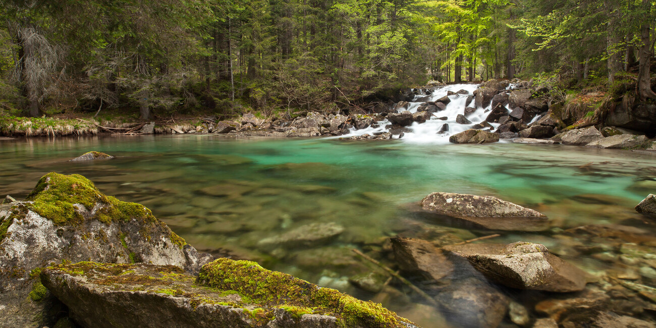 Ontdek de kracht van het heilzame water in Trentino en bewonder de prachtige meren en rivieren #6