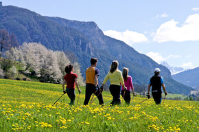 MEER TOERISTEN ONTDEKKEN HET WONDERSCHONE TRENTINO