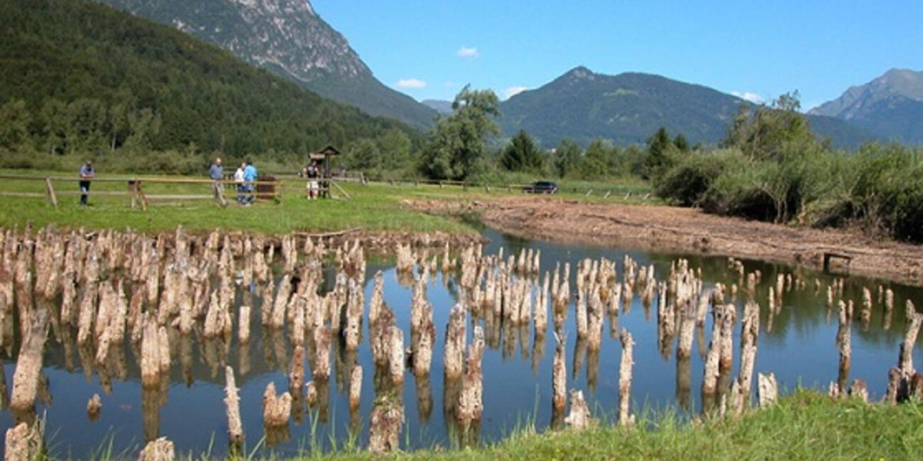 ВСЕМИРНОЕ НАСЛЕДИЕ UNESCO #7