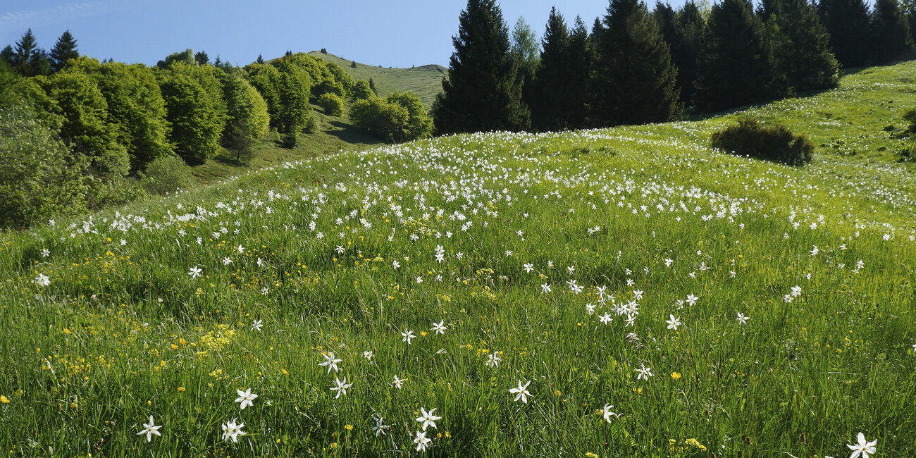 ВСЕМИРНОЕ НАСЛЕДИЕ UNESCO #4