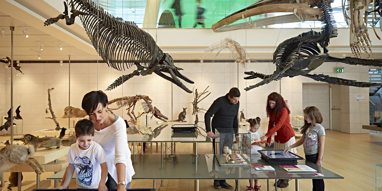 ПУТЕШЕСТВИЕ ИЗ ПРОШЛОГО В НАСТОЯЩЕЕ #3