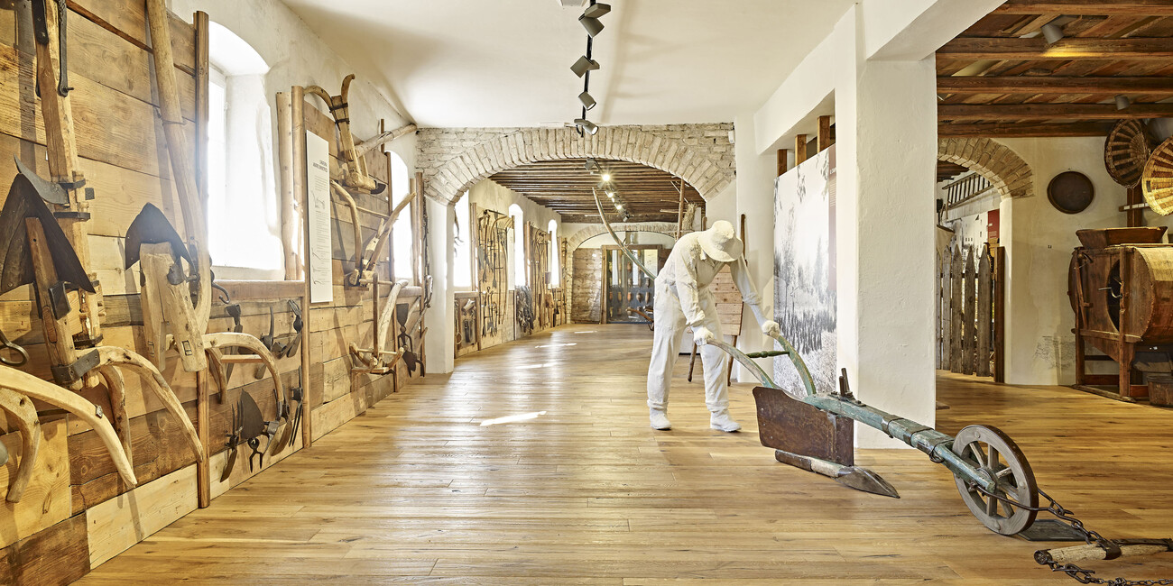 PODRÓŻ ŁĄCZĄCA PRZESZŁOŚĆ Z TERAŹNIEJSZOŚCIĄ #4