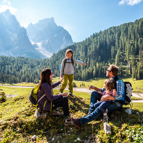 Family holidays
