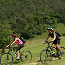 Cycling with less effort - Fiemme E-motion - VisitTrentino.info
