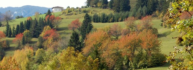 RR Val di Fiemme Destra Avisio - Corridoio Ecologico | © RR Val di Fiemme Destra Avisio - Corridoio Ecologico