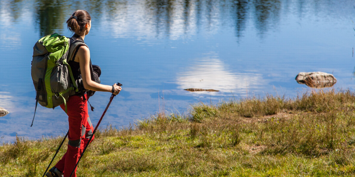 Attività delle Reti di Riserve in Trentino | © Foto Archivio Rete di Riserve Cembra – Avisio