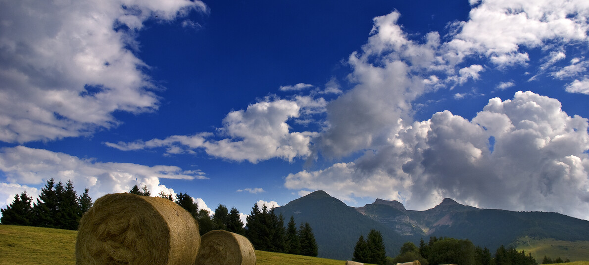 Franco Visintainer - RR Monte Bondone | © Franco Visintainer - RR Monte Bondone