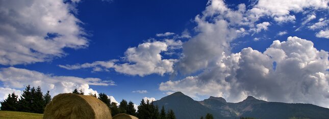 Franco Visintainer - RR Monte Bondone | © Franco Visintainer - RR Monte Bondone