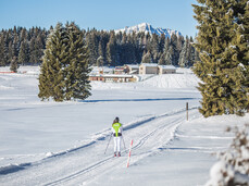 The Millegrobbe cross-country ski Centre