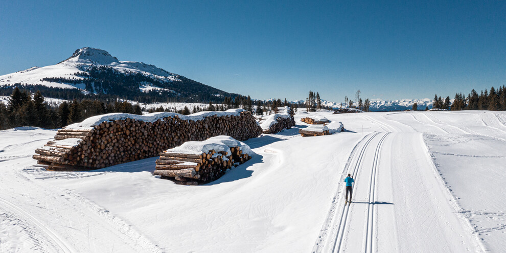 Cross-country skiing on the slopes of the Latemar
