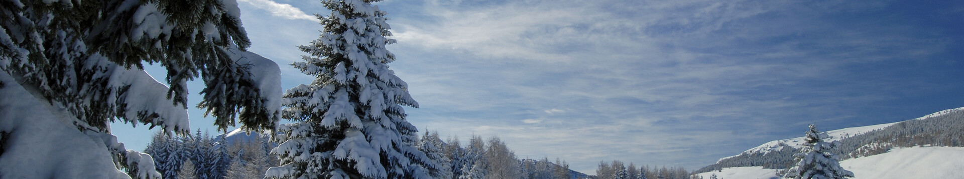 Snadno dostupné lyžování poblíž Tre | © 22453-monte-bondone-inverno-giovanni-cavulli