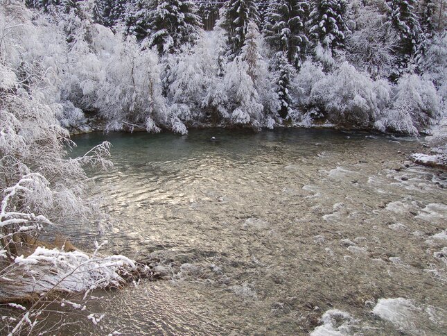 RRiserve_Fiemme_Avisio_invernale | © RRiserve_Fiemme_Avisio_invernale