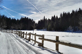RRiserve_Alta_Val_di_Cembra_Lago di Valda_foto_Elisa_Travaglia | © RRiserve_Alta_Val_di_Cembra_Lago di Valda_foto_Elisa_Travaglia