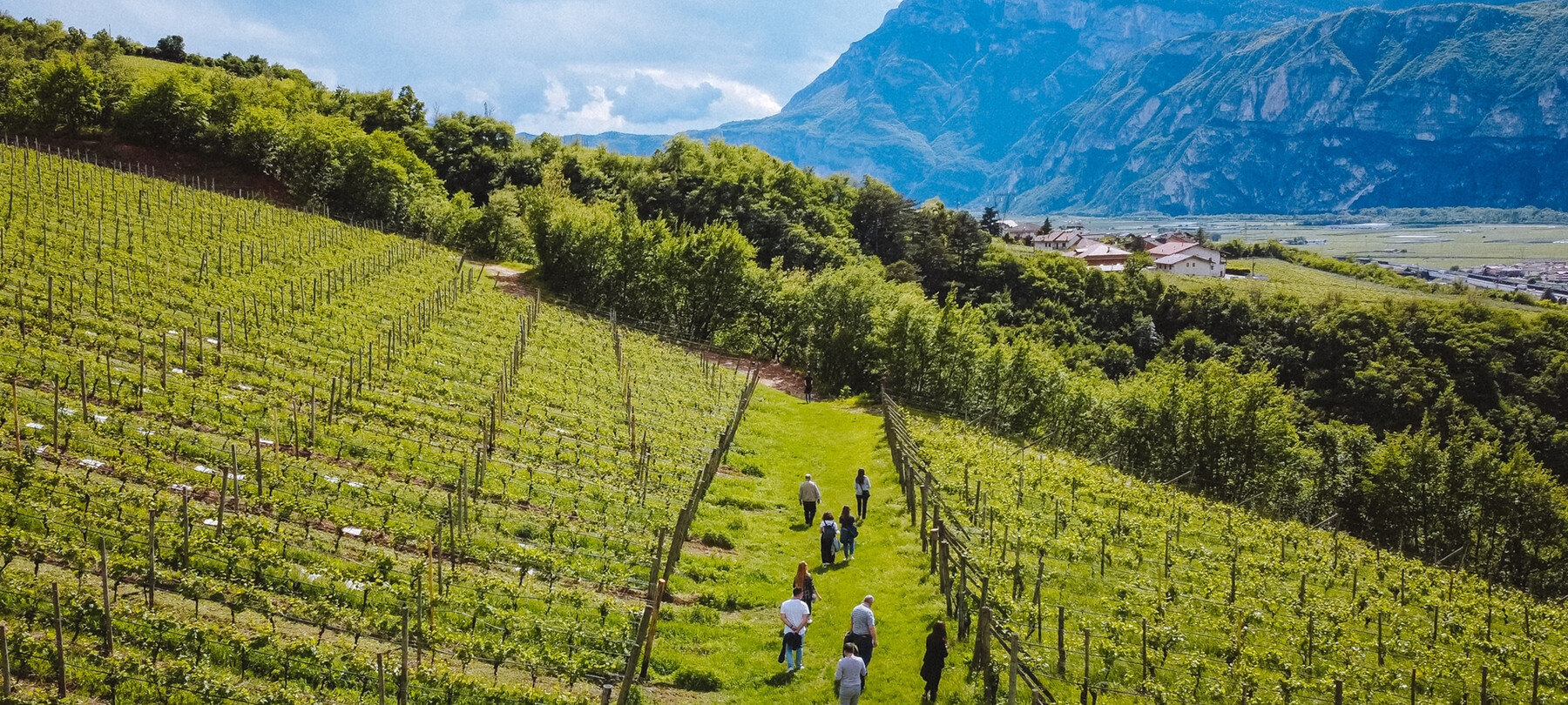 Trentino craft beer tour, from Lavis to Val di Non
