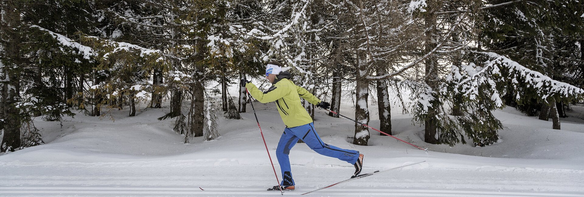 Trento, Monte Bondone e Altopiano di Piné
