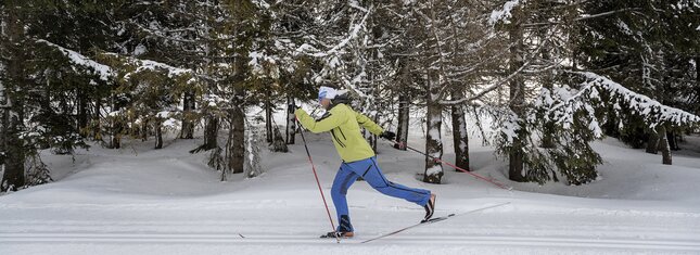 Trento, Monte Bondone e Altopiano di Piné