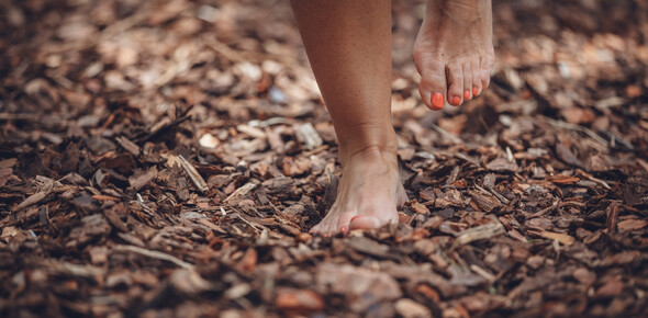 Sinnespfad Fata Gavardina | © 2023_APTGARDADOLOMITI_PRUGNOLA