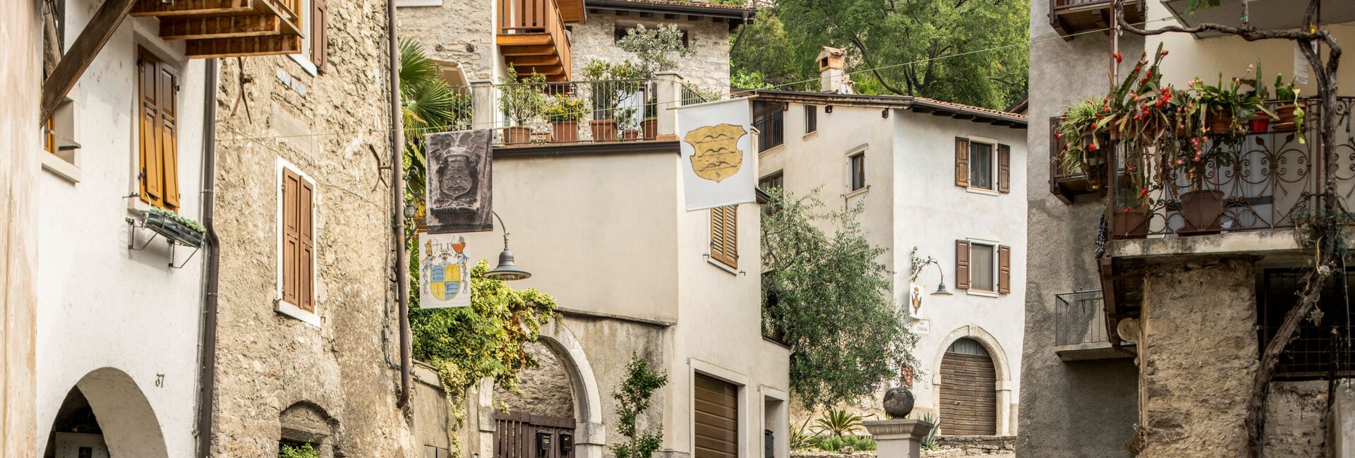 Arco