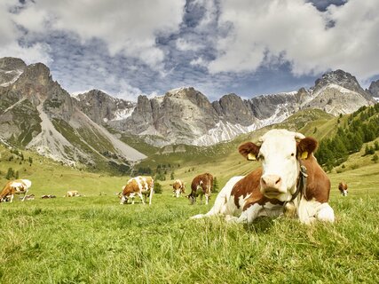 Rifugio Fuciade - Dolomiti di Fassa