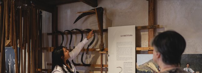 METS - Museo Etnografico Trentino  San Michele 