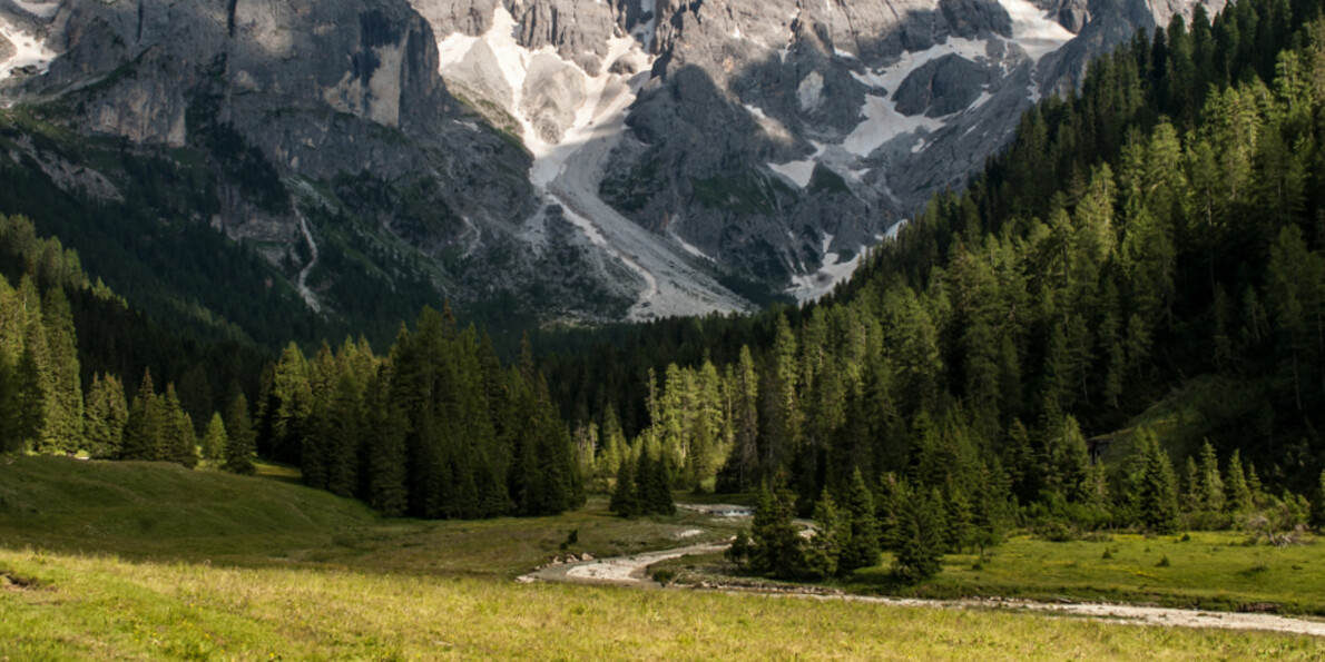 In Primiero, la Via Nova assieme al cane