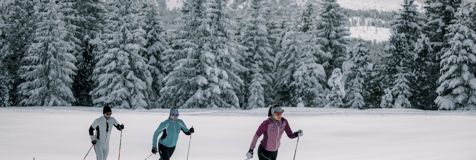 Centro Fondo Passo di Lavazè 