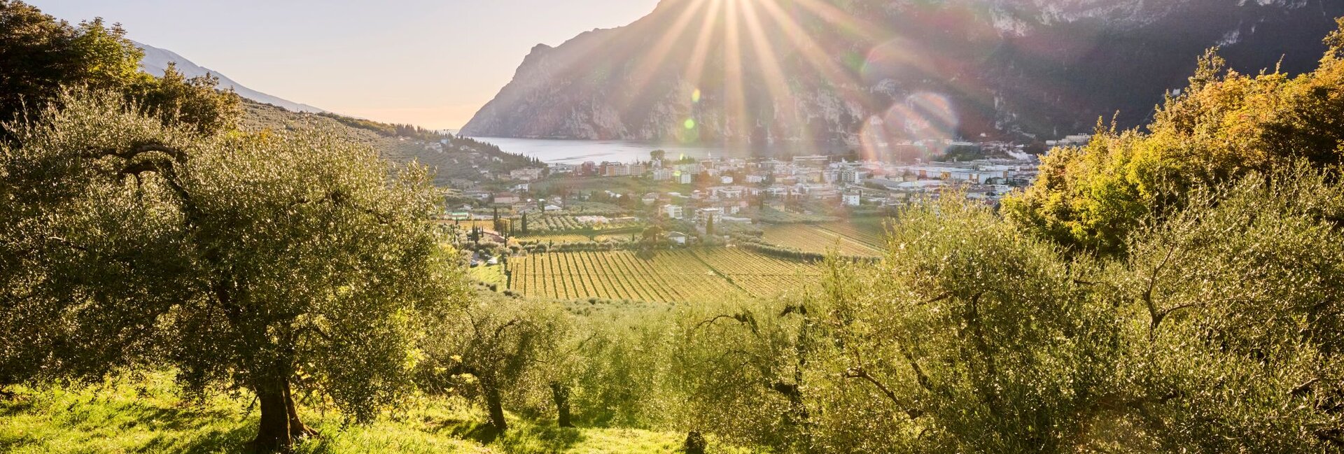 Lago di Garda - Trentino
