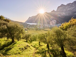 Lago di Garda - Trentino