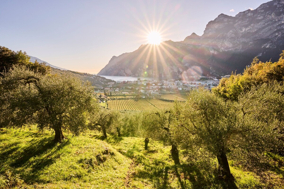 Lago di Garda - Trentino