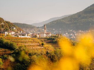 Val di Fiemme e Val di Cembra