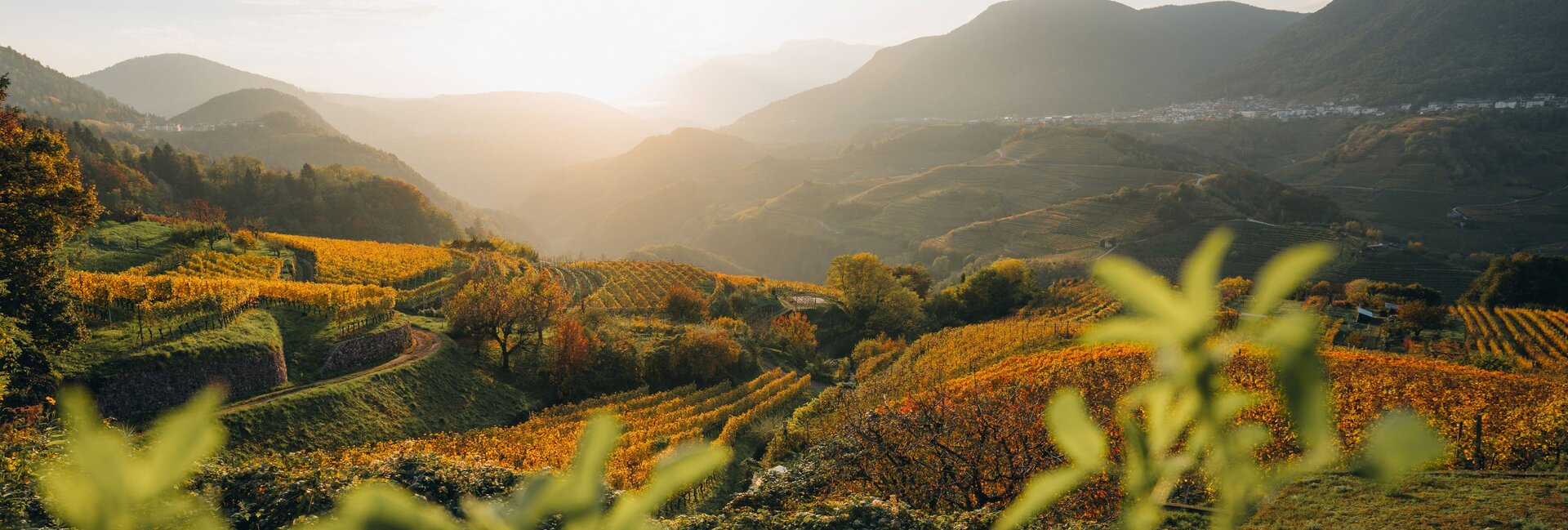 Val di Fiemme e Val di Cembra